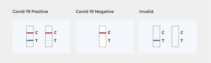 The Antigen Test Vs. The Antibody Test